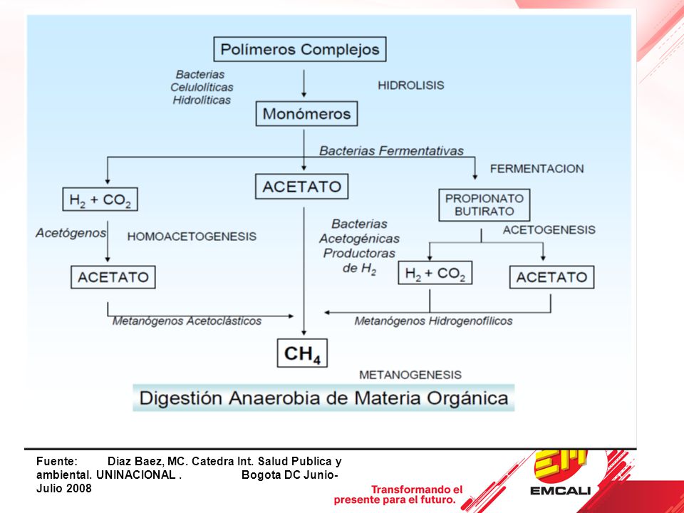 Fuente:. Diaz Baez, MC. Catedra Int. Salud Publica y ambiental