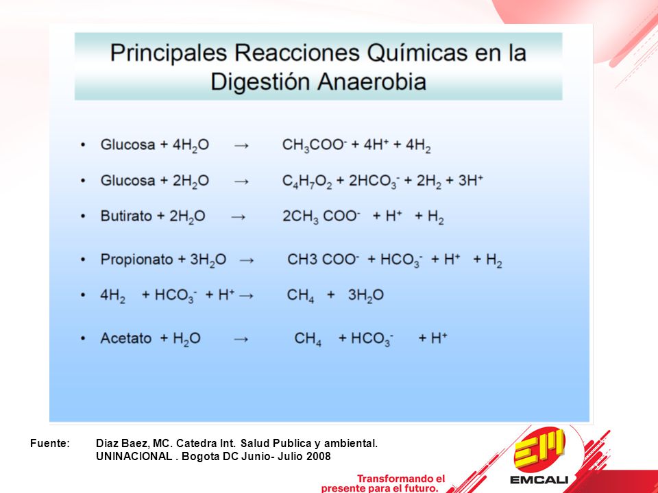 Fuente:. Diaz Baez, MC. Catedra Int. Salud Publica y ambiental