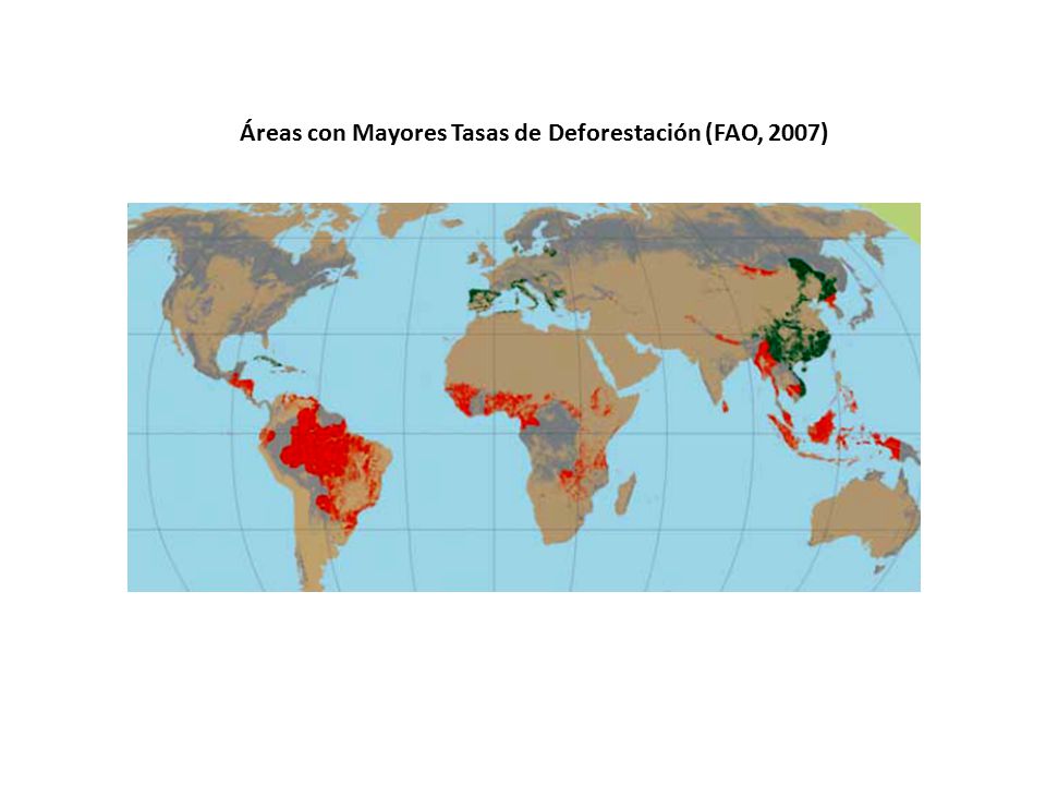 Áreas con Mayores Tasas de Deforestación (FAO, 2007)