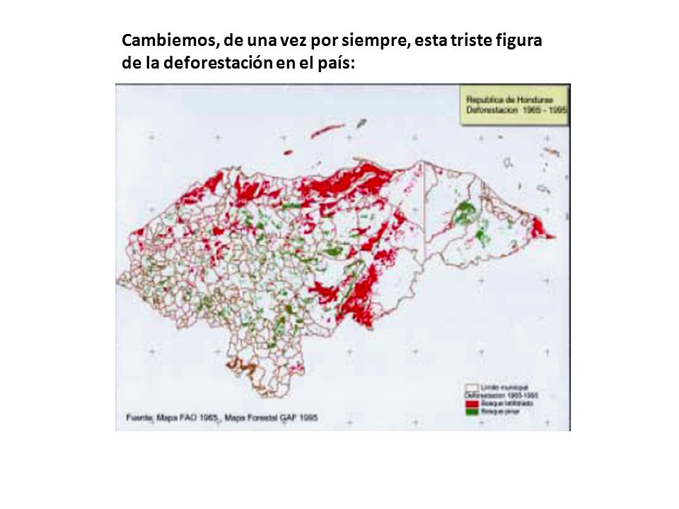 Cambiemos, de una vez por siempre, esta triste figura de la deforestación en el país: