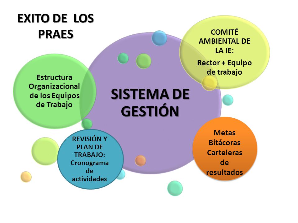SISTEMA DE GESTIÓN EXITO DE LOS PRAES COMITÉ AMBIENTAL DE LA IE: