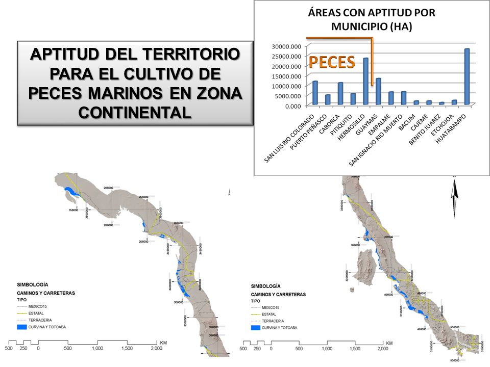 APTITUD DEL TERRITORIO PARA EL CULTIVO DE PECES MARINOS EN ZONA CONTINENTAL
