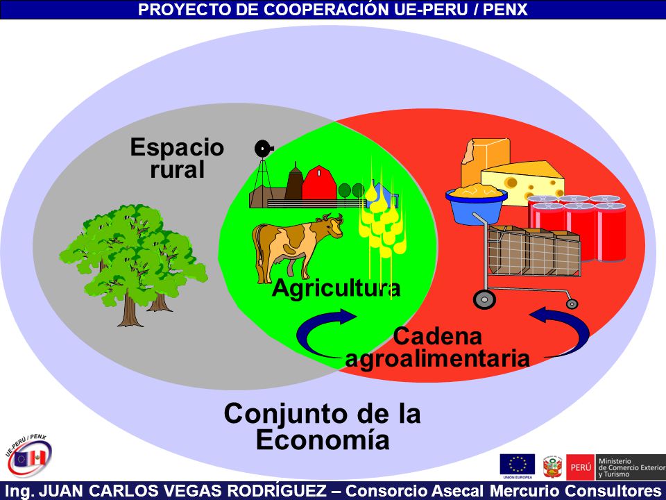 PROYECTO DE COOPERACIÓN UE-PERU / PENX Conjunto de la Economía
