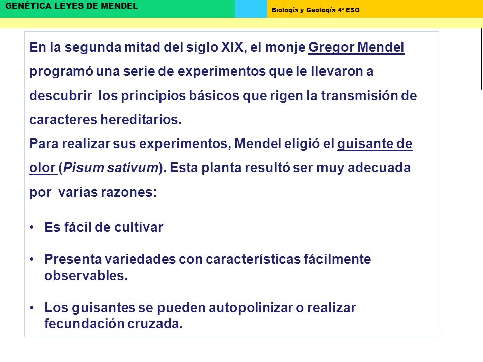 En la segunda mitad del siglo XIX, el monje Gregor Mendel programó una serie de experimentos que le llevaron a descubrir los principios básicos que rigen la transmisión de caracteres hereditarios.
