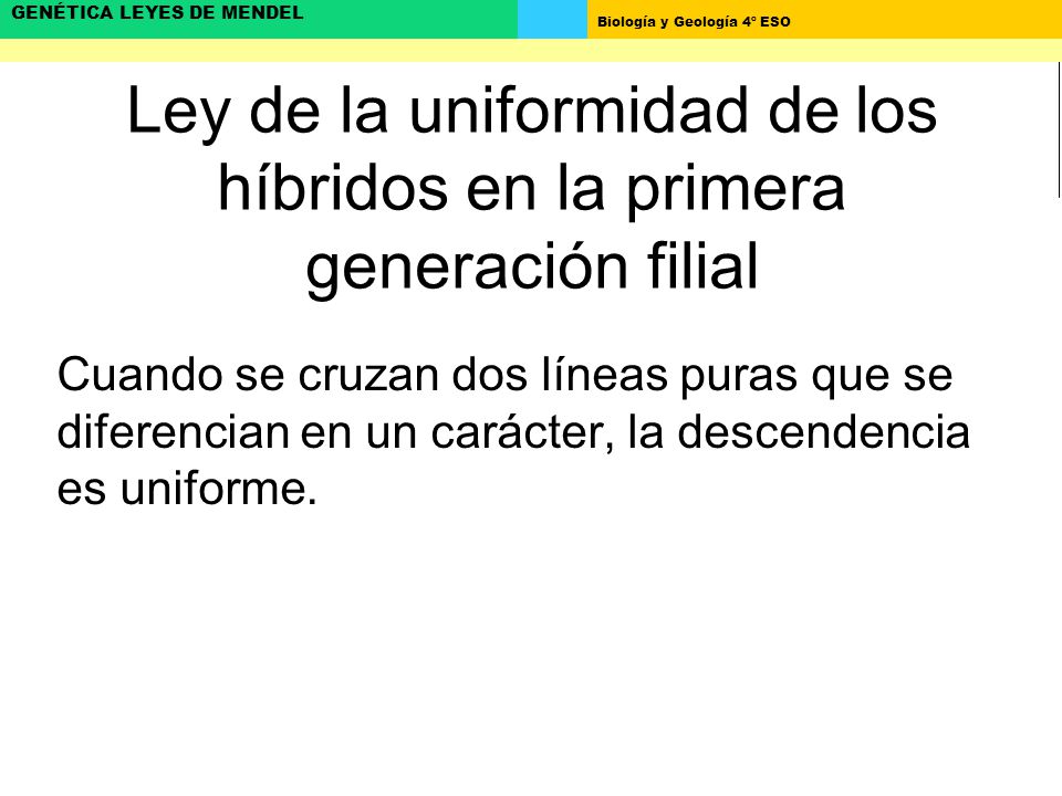 Ley de la uniformidad de los híbridos en la primera generación filial