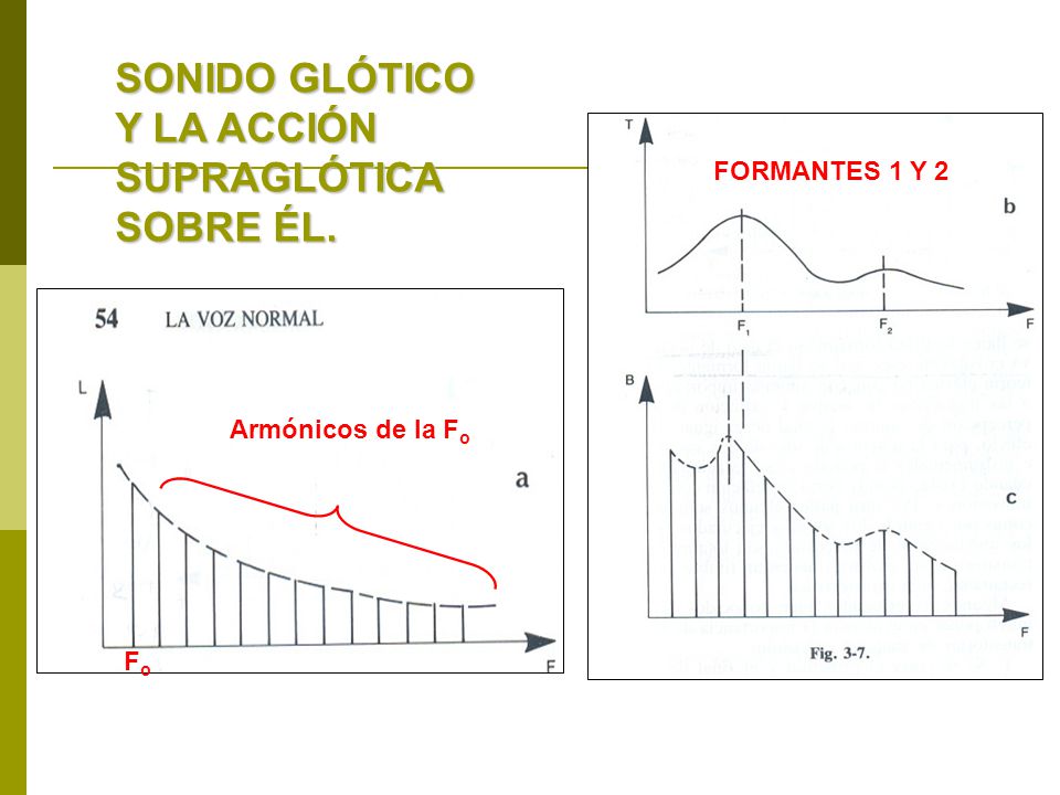 SONIDO GLÓTICO Y LA ACCIÓN SUPRAGLÓTICA SOBRE ÉL. FORMANTES 1 Y 2