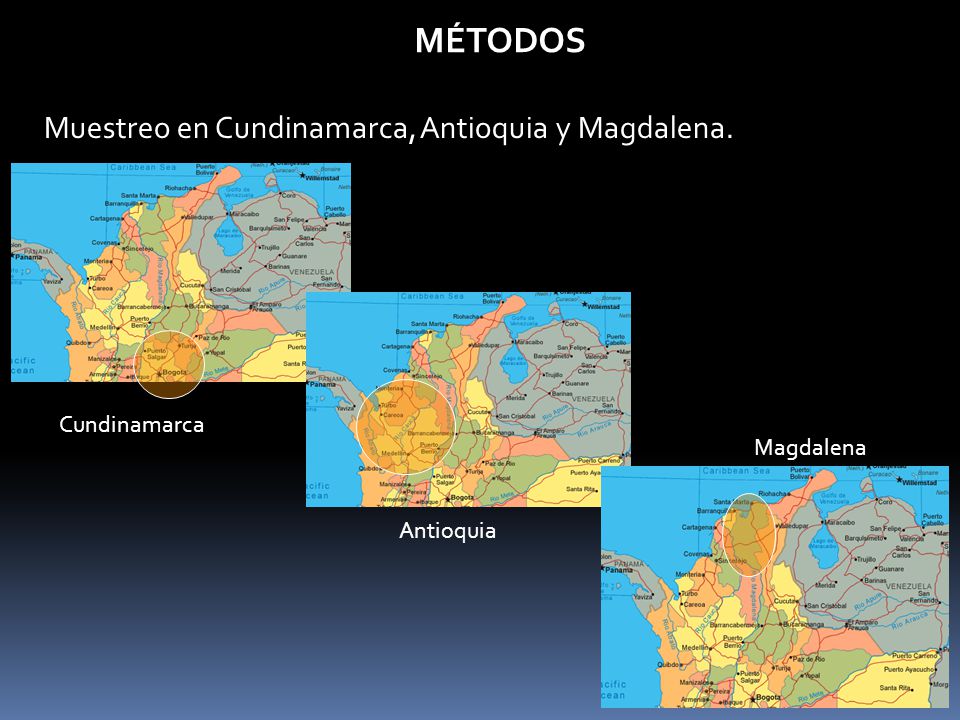 MÉTODOS Muestreo en Cundinamarca, Antioquia y Magdalena. Cundinamarca