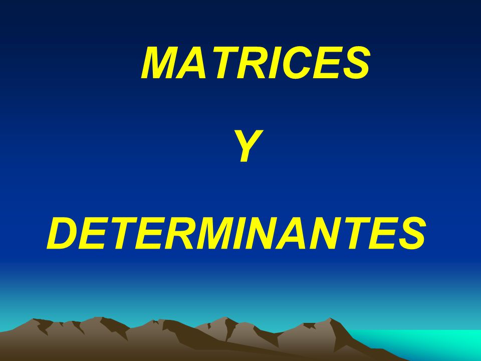 MATRICES Y DETERMINANTES
