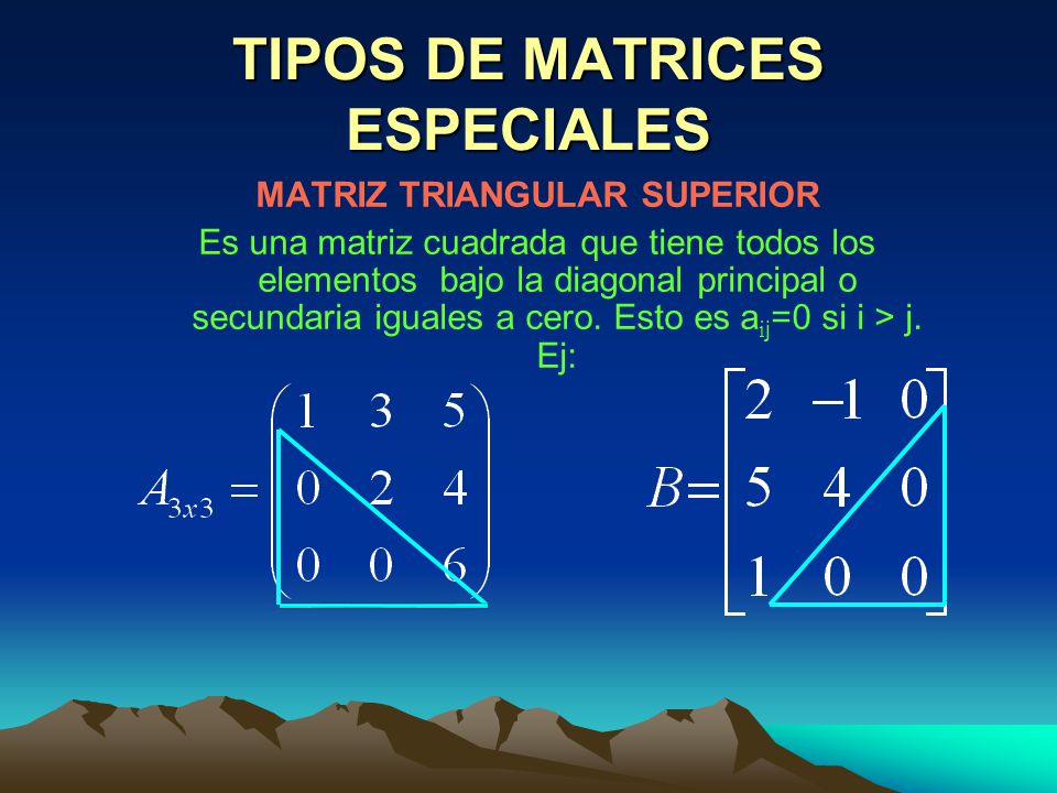TIPOS DE MATRICES ESPECIALES