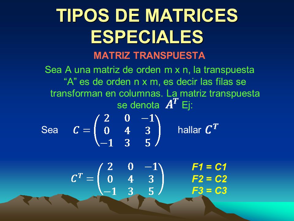 TIPOS DE MATRICES ESPECIALES