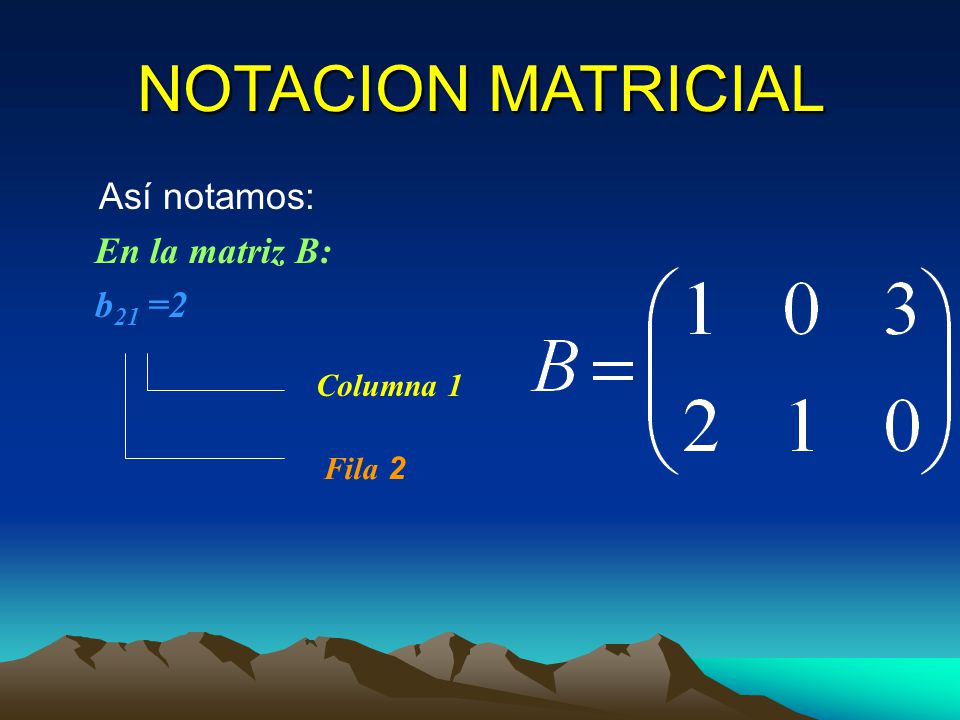 NOTACION MATRICIAL Así notamos: En la matriz B: b21 =2 Columna 1
