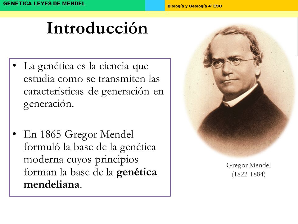 Introducción La genética es la ciencia que estudia como se transmiten las características de generación en generación.