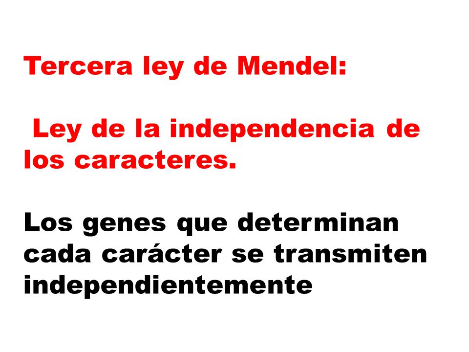 Tercera ley de Mendel: Ley de la independencia de los caracteres.
