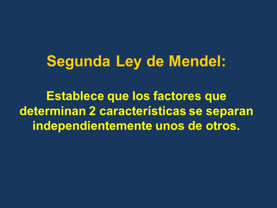 Segunda Ley de Mendel: Establece que los factores que determinan 2 características se separan independientemente unos de otros.