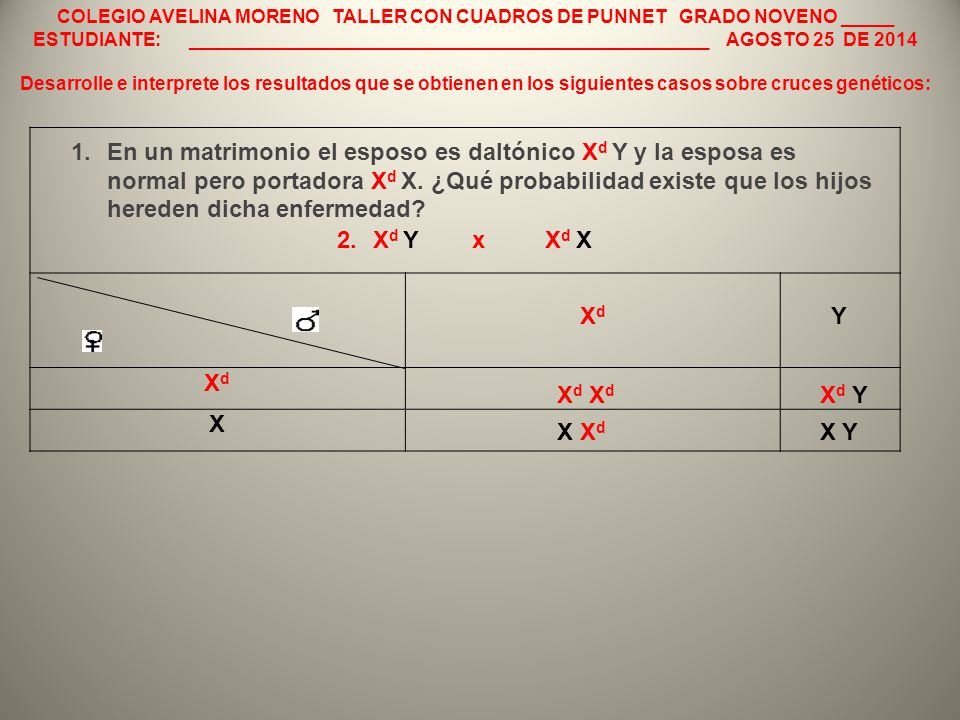 COLEGIO AVELINA MORENO TALLER CON CUADROS DE PUNNET GRADO NOVENO _____