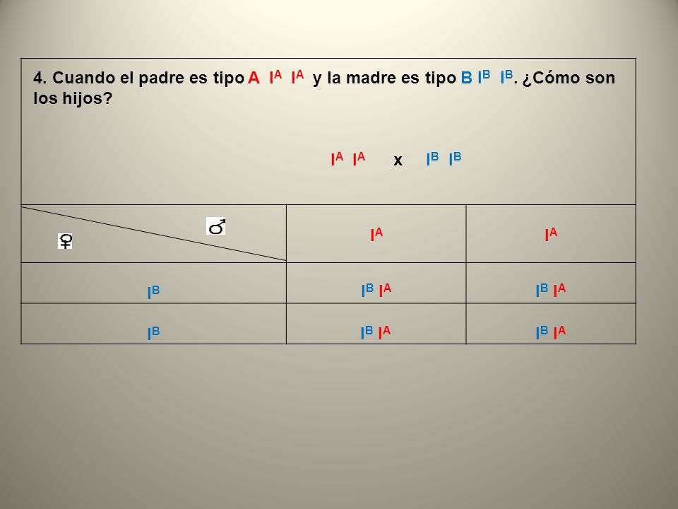 IA IB. 4. Cuando el padre es tipo A IA IA y la madre es tipo B IB IB. ¿Cómo son los hijos IA IA x IB IB.