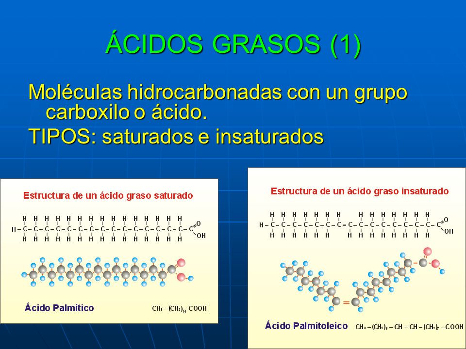 ÁCIDOS GRASOS (1) Moléculas hidrocarbonadas con un grupo carboxilo o ácido.