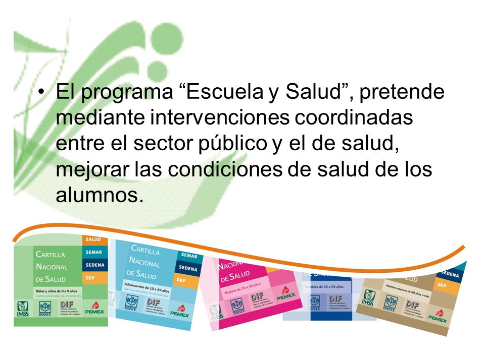 El programa Escuela y Salud , pretende mediante intervenciones coordinadas entre el sector público y el de salud, mejorar las condiciones de salud de los alumnos.