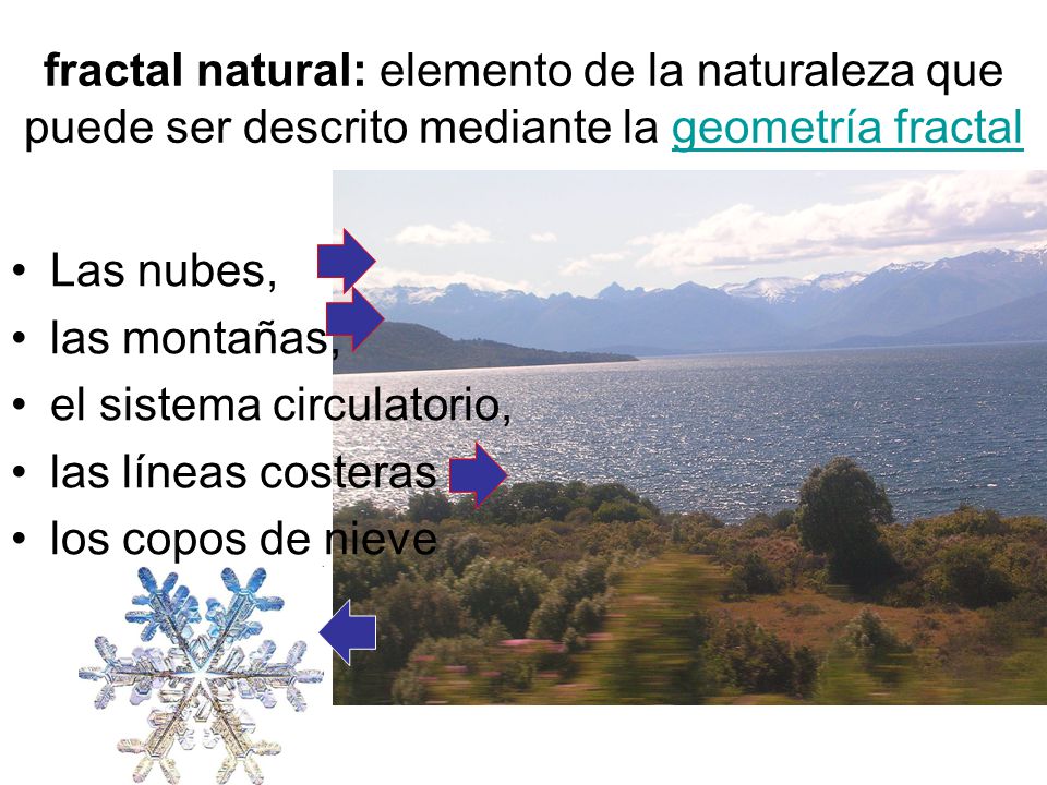 fractal natural: elemento de la naturaleza que puede ser descrito mediante la geometría fractal