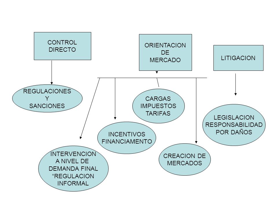 CONTROL DIRECTO. ORIENTACION. DE. MERCADO. LITIGACION. REGULACIONES. Y. SANCIONES. CARGAS. IMPUESTOS.