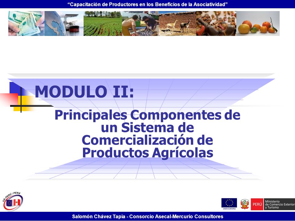 MODULO II: Principales Componentes de un Sistema de Comercialización de Productos Agrícolas