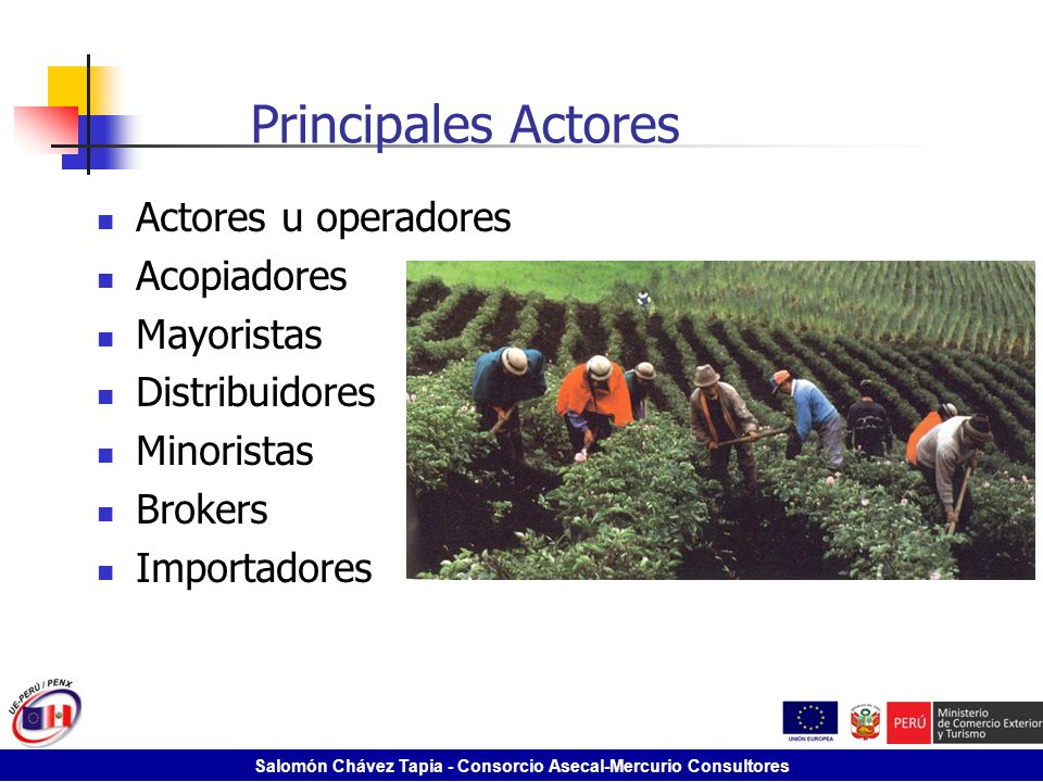 Principales Actores Actores u operadores Acopiadores Mayoristas