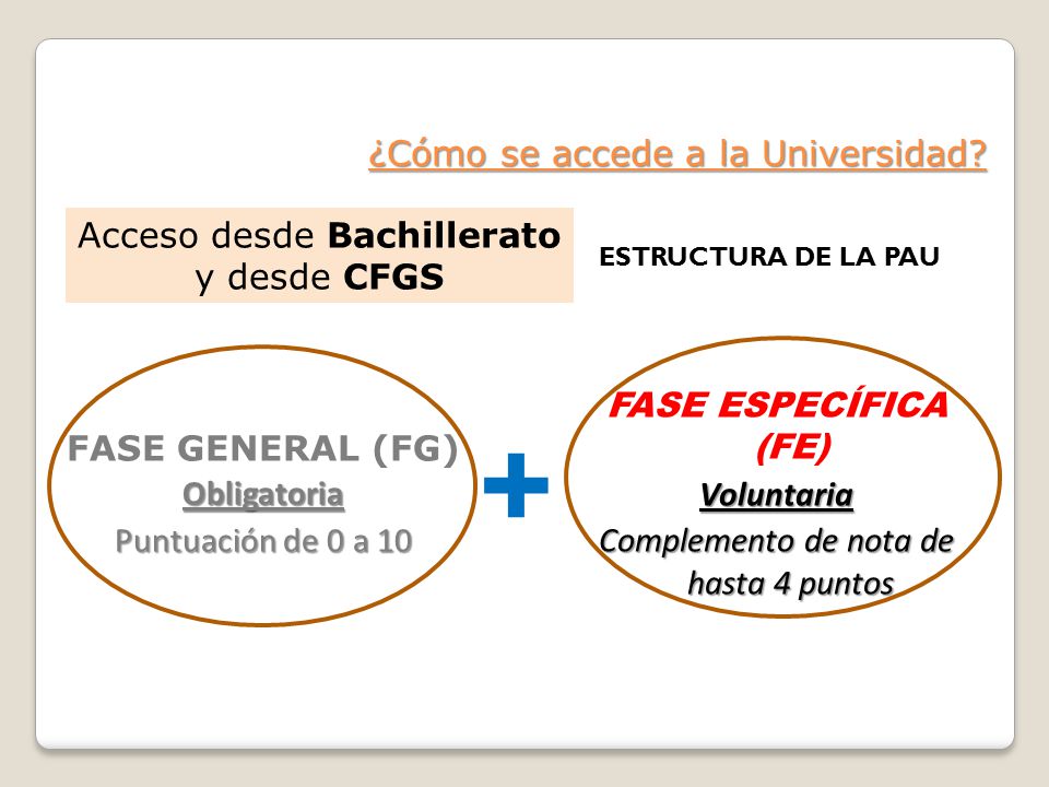 + ¿Cómo se accede a la Universidad Acceso desde Bachillerato