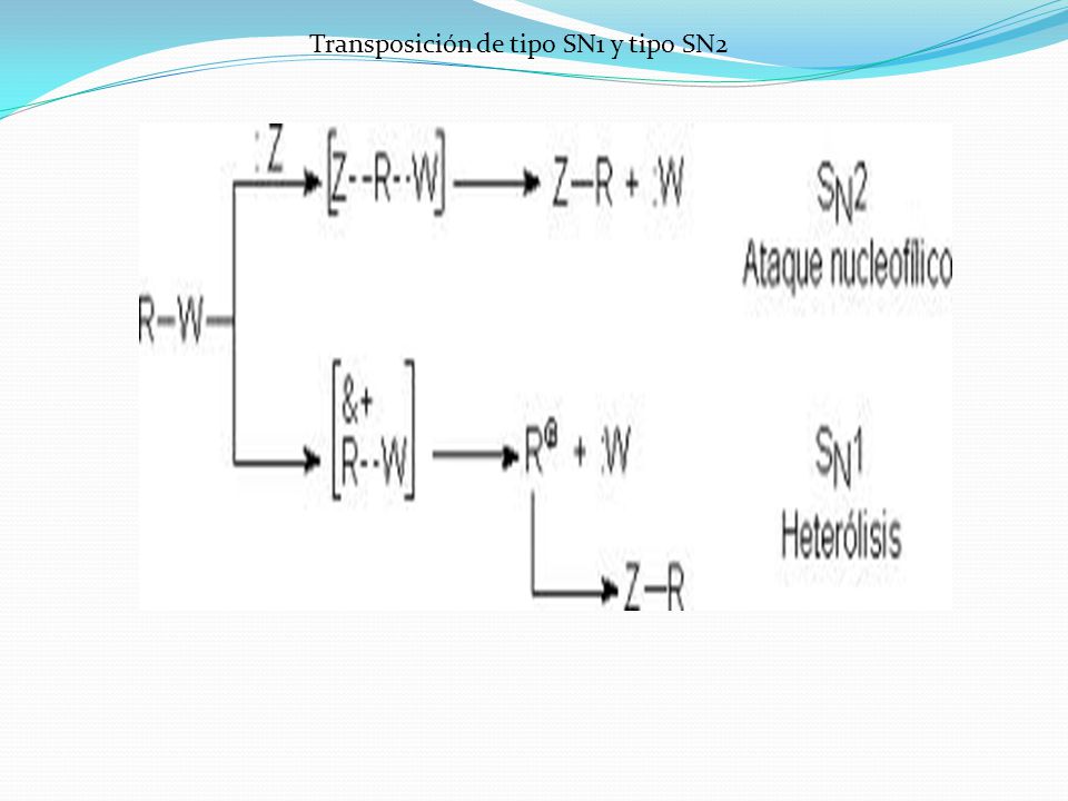 Transposición de tipo SN1 y tipo SN2