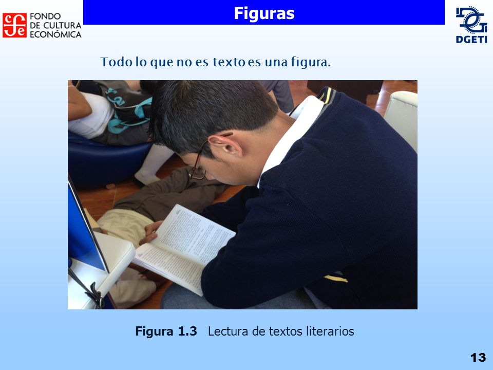 Figuras Todo lo que no es texto es una figura.
