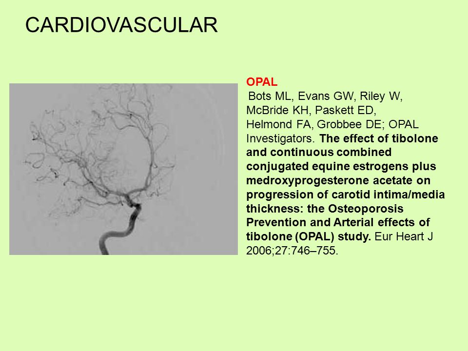 CARDIOVASCULAR OPAL. Bots ML, Evans GW, Riley W, McBride KH, Paskett ED,