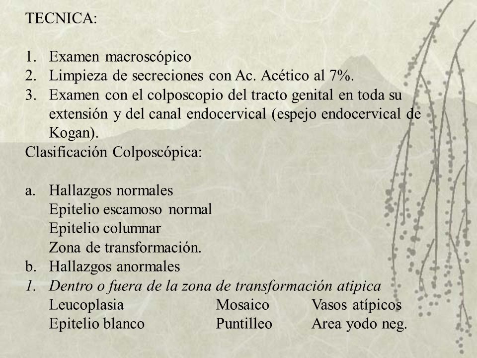 TECNICA: Examen macroscópico. Limpieza de secreciones con Ac. Acético al 7%. Examen con el colposcopio del tracto genital en toda su.