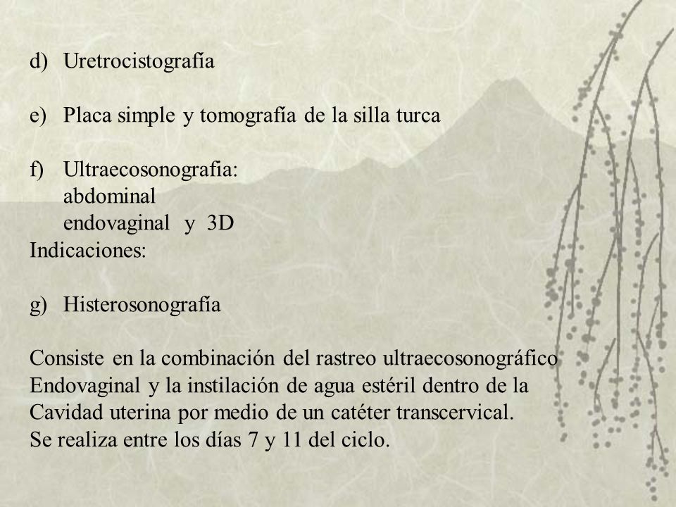Uretrocistografía Placa simple y tomografía de la silla turca. Ultraecosonografia: abdominal. endovaginal y 3D.