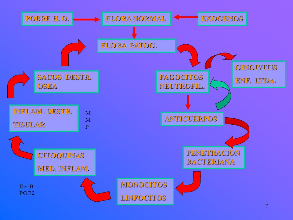 POBRE H. O. FLORA NORMAL EXOGENOS FLORA PATOG. GINGIVITIS ENF. LTDA.