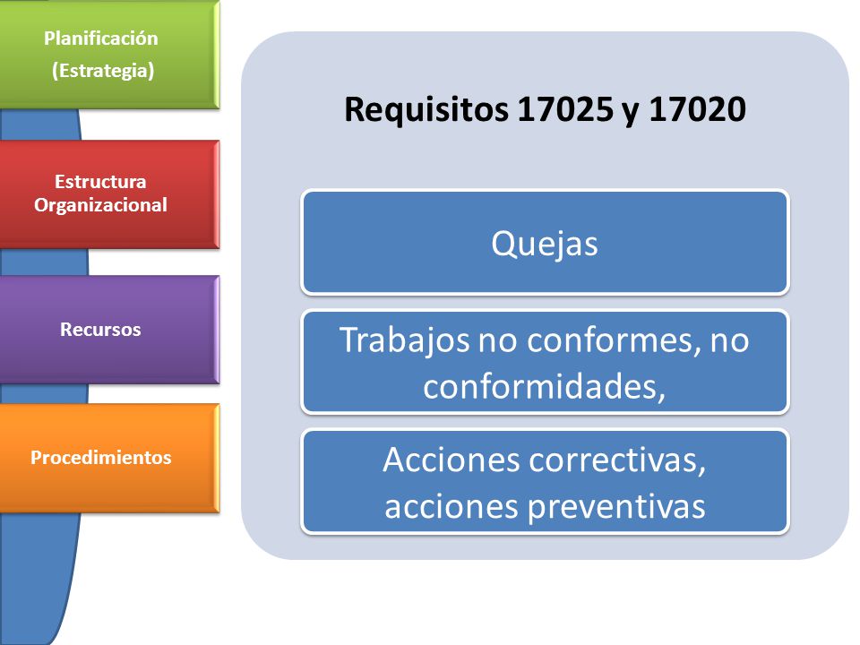 Estructura Organizacional