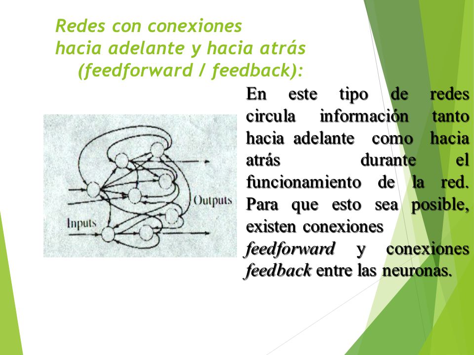 Redes con conexiones hacia adelante y hacia atrás (feedforward / feedback):