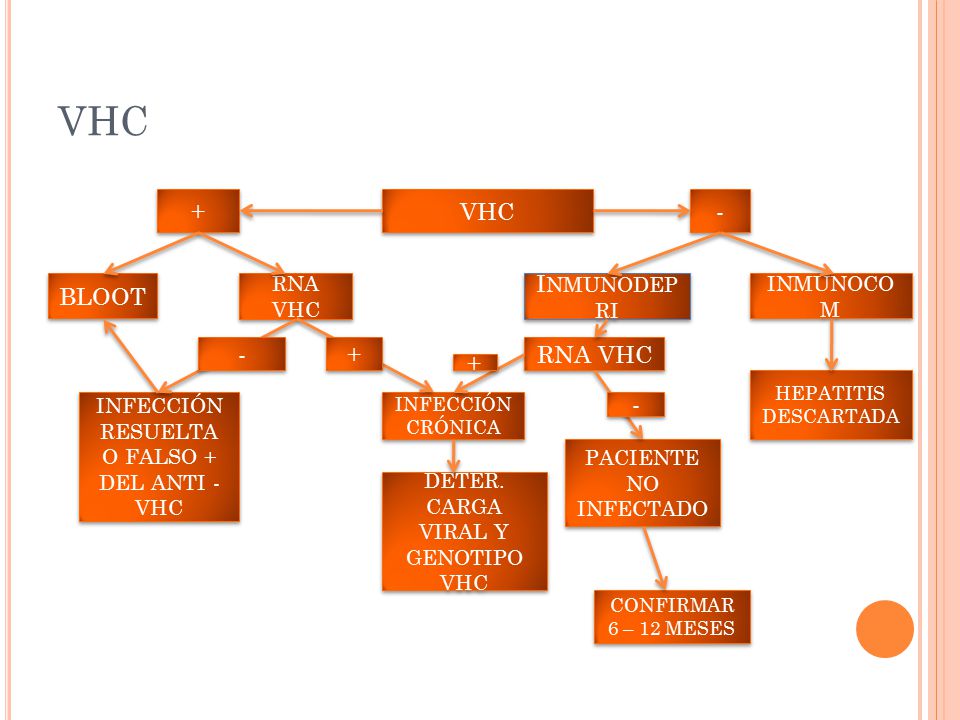 VHC + VHC - BLOOT INMUNODEPRI - + RNA VHC + - RNA VHC INMUNOCOM