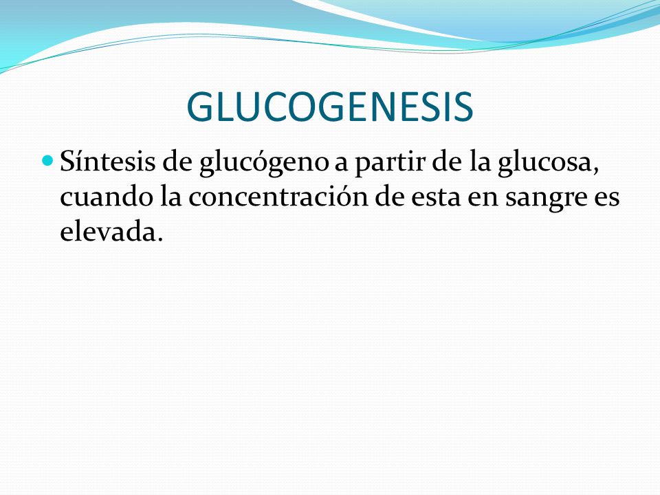 GLUCOGENESIS Síntesis de glucógeno a partir de la glucosa, cuando la concentración de esta en sangre es elevada.