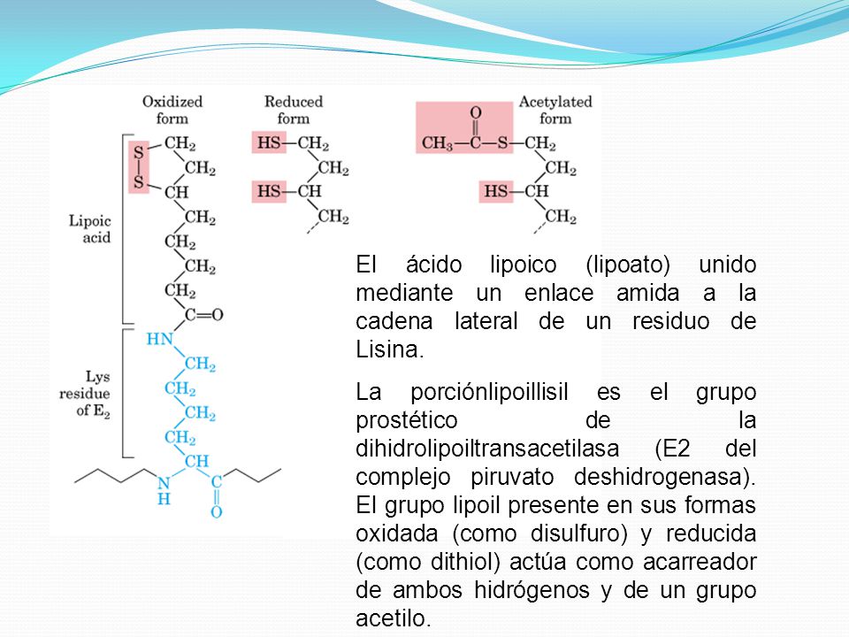 El ácido lipoico (lipoato) unido mediante un enlace amida a la cadena lateral de un residuo de Lisina.