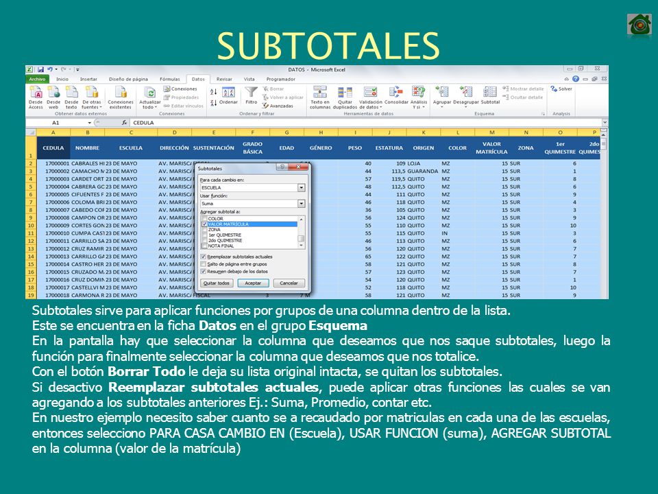 SUBTOTALES Subtotales sirve para aplicar funciones por grupos de una columna dentro de la lista.