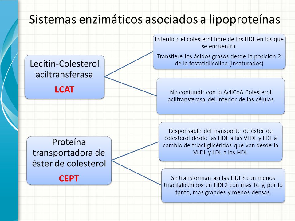 Sistemas enzimáticos asociados a lipoproteínas
