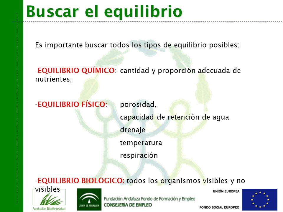 Buscar el equilibrio Es importante buscar todos los tipos de equilibrio posibles: