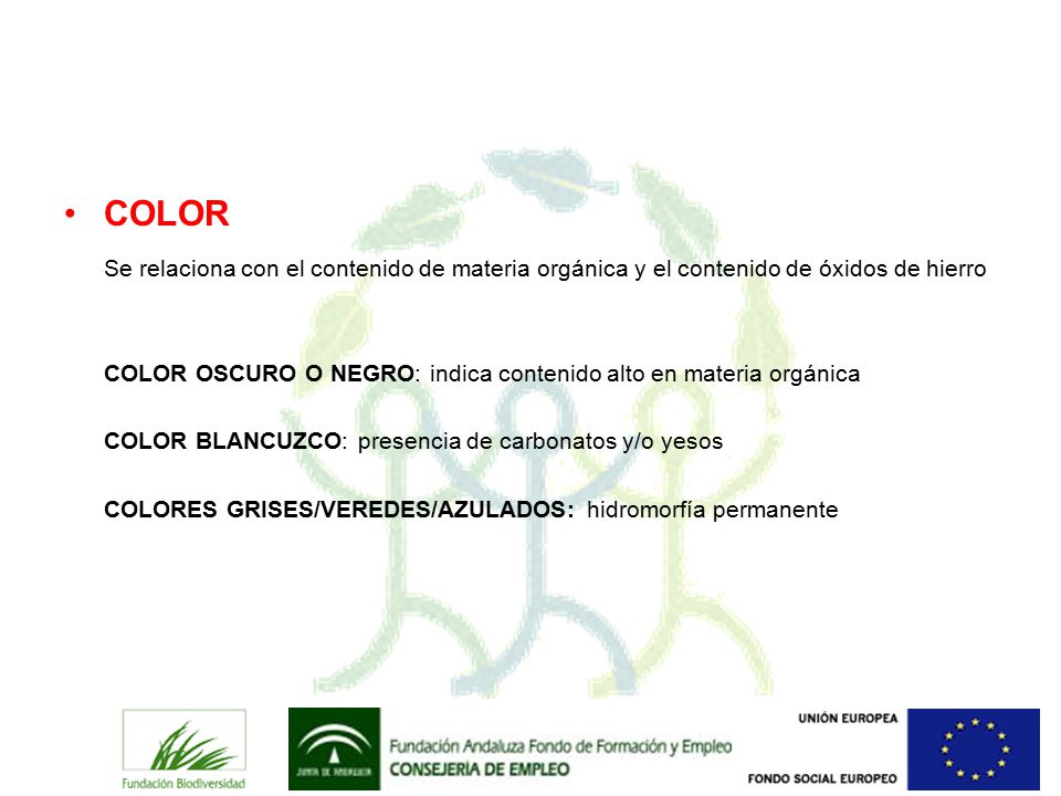 COLOR Se relaciona con el contenido de materia orgánica y el contenido de óxidos de hierro.
