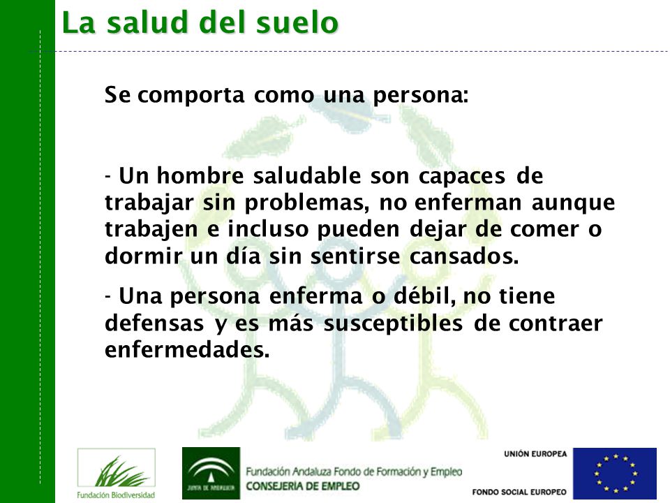 La salud del suelo Se comporta como una persona: