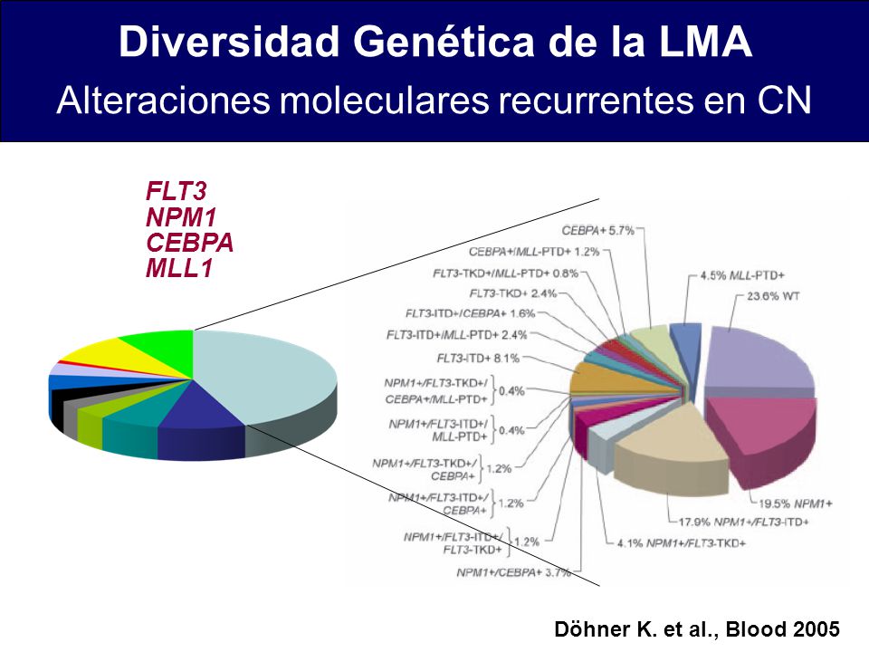 Diversidad Genética de la LMA Alteraciones moleculares recurrentes en CN