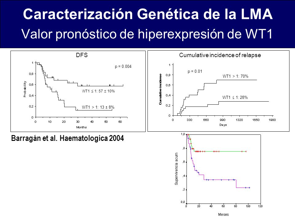 Caracterización Genética de la LMA Valor pronóstico de hiperexpresión de WT1