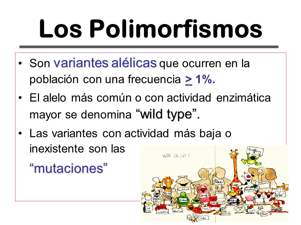 Los Polimorfismos Son variantes alélicas que ocurren en la población con una frecuencia > 1%.