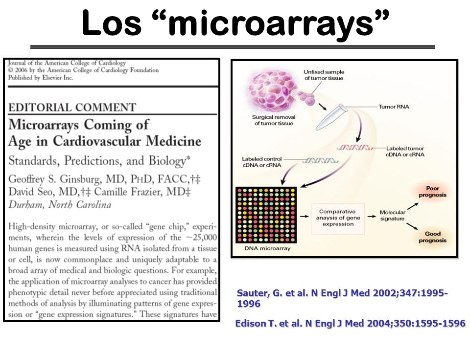 Los microarrays Sauter, G. et al. N Engl J Med 2002;347: