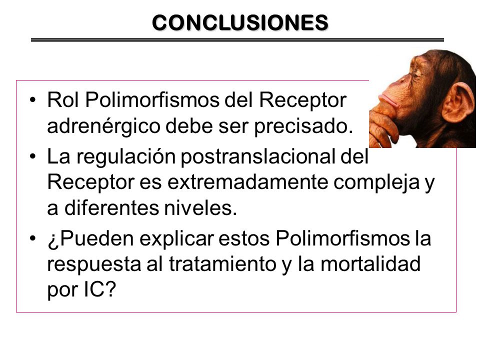 CONCLUSIONES Rol Polimorfismos del Receptor adrenérgico debe ser precisado.