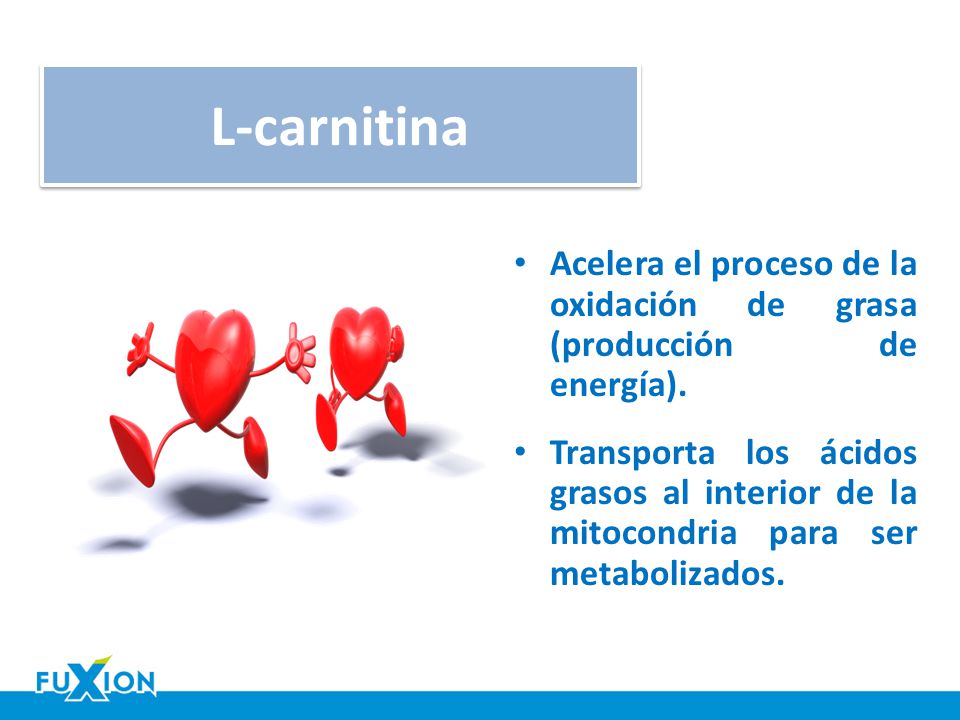 L-carnitina Acelera el proceso de la oxidación de grasa (producción de energía).
