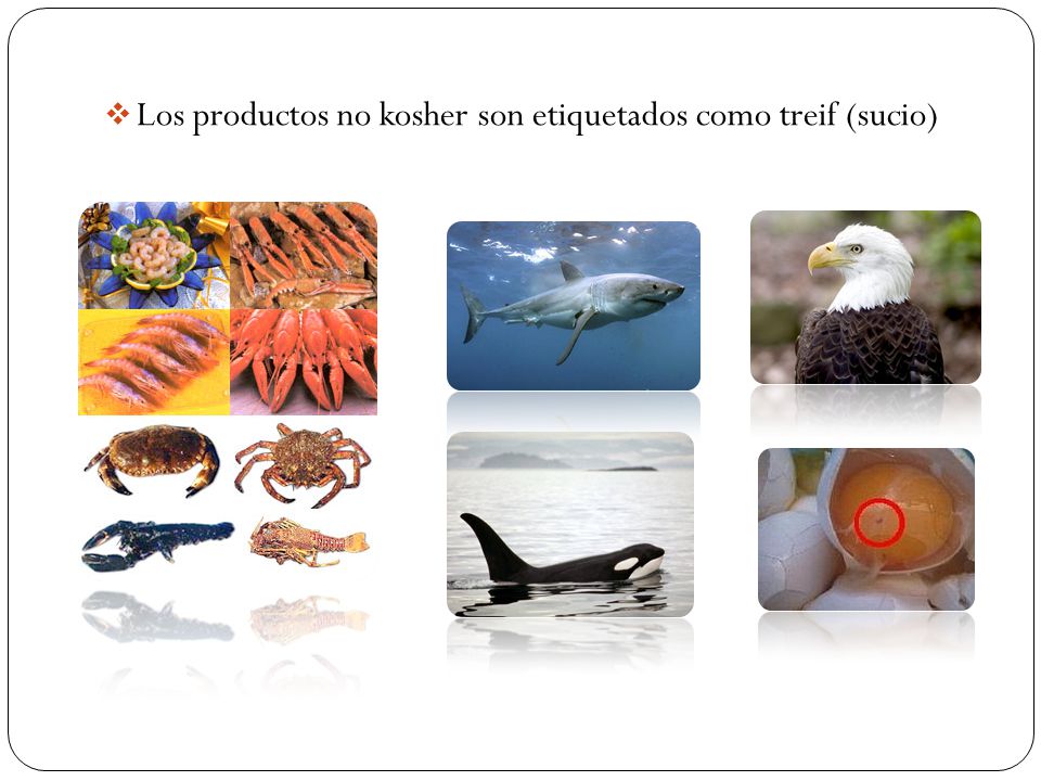 Los productos no kosher son etiquetados como treif (sucio)